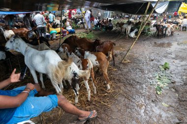 Kolkata, Batı Bengal, Hindistan - 11 Ağustos 2019: 