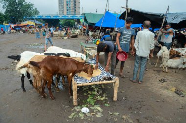 Kolkata, Batı Bengal, Hindistan - 11 Ağustos 2019: 