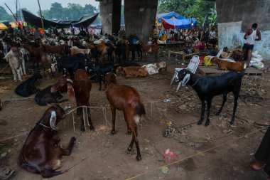 Kolkata, Batı Bengal, Hindistan - 11 Ağustos 2019: 