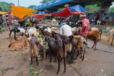 Kolkata, Batı Bengal, Hindistan - 11 Ağustos 2019: 