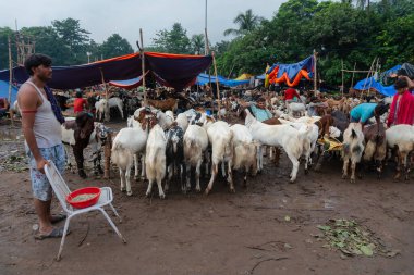 Kolkata, Batı Bengal, Hindistan - 11 Ağustos 2019: 