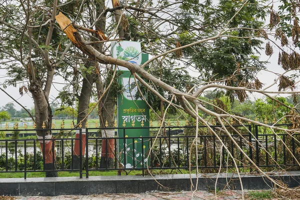 Howrah Bengale Occidental Inde Mai 2020 Super Cyclone Amphan Déracine — Photo