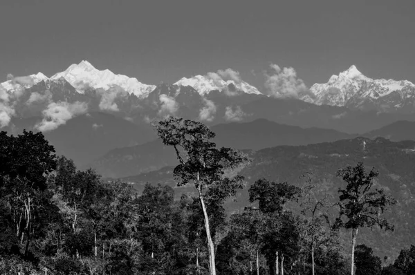 Chaîne Montagnes Kanchenjugha Noir Blanc Avec Des Arbres Premier Plan — Photo