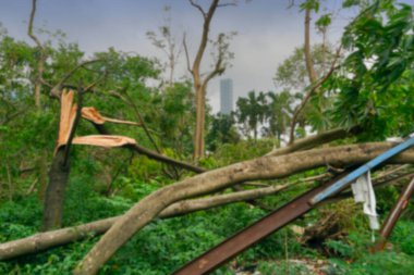 Süper Kasırga Amphan 'ın bulanık görüntüsü yere düşen ağacı söktü. Yıkım birçok ağacı devirdi. Arka planda Kolkata 'nın yüksek binası var. Kolkata, Batı Bengal, Hindistan.