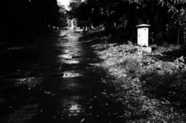 Kuru l 'nin bulanık görüntüsü; saçaklar ağaçların arasından geçen şeride düştü, siyah ve beyaz arka plan. Howrah, Batı Bengal, Hindistan.