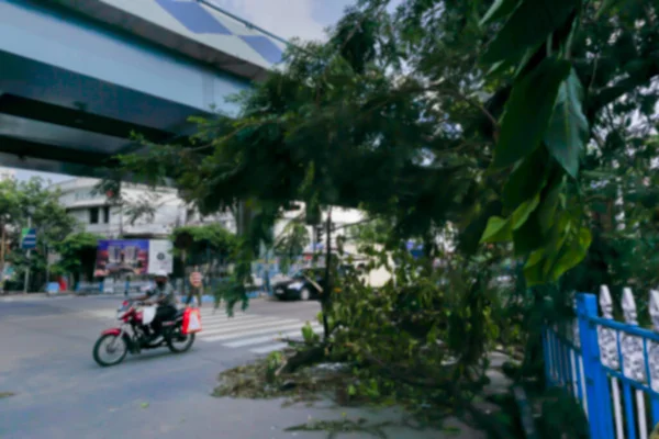 Blurred Image Kolkata West Bengal India Super Cyclone Amphan Uprooted — Stock Photo, Image