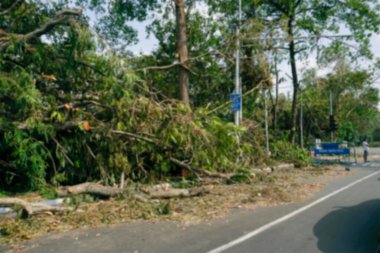 Kolkata 'nın bulanık görüntüsü, Batı Bengal, Hindistan. Süper kasırga Amphan kökünden sökülmüş ve yolu kısmen kapatmış. Yıkım birçok ağacı yere düşürdü. İklim değişikliği.