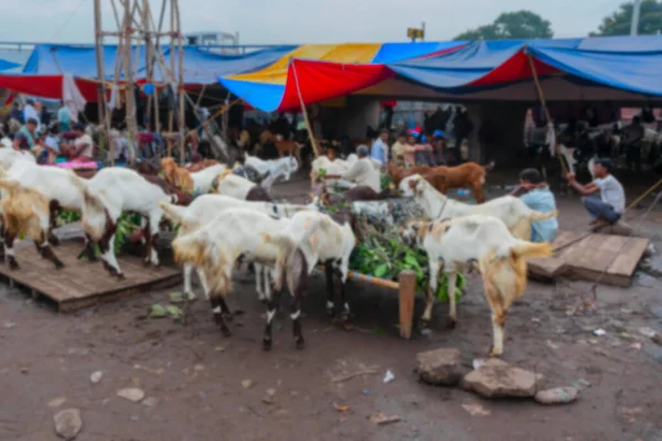 Imagen Borrosa Calcuta Bengala Occidental India Las Cabras Venden Mercado — Foto de Stock