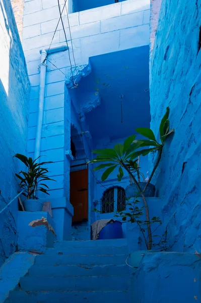 インドのラジャスタン州ジョードプル市の伝統的なブルーの色の家 ブルーはヒンズー教徒のブラフミン人にとって象徴的です — ストック写真