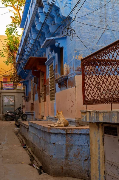 Jodhpur Rajastán India Octubre 2019 Casas Coloridas Tradicionales Azul Simbólico — Foto de Stock
