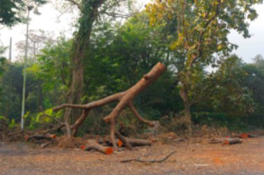 Ağaçların bulanık görüntüsü kesilmiş. Çevre hasarı iklim değişikliğine neden olur. Howrah, Batı Bengal, Hindistan.