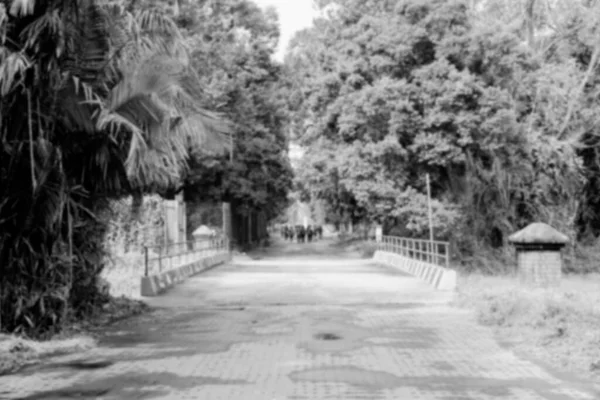 Imagem Desfocada Crianças Que Gostam Caminhar Dentro Parque Preto Branco — Fotografia de Stock