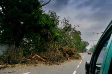 Kolkata 'nın bulanık görüntüsü, Batı Bengal, Hindistan. Süper kasırga Amphan devrilen ve kaldırımı tıkayan ağacı söktü. Yıkım birçok ağacı yere düşürdü. İklim değişikliği.