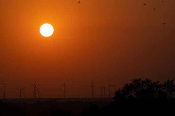 太阳升起在印度拉贾斯坦邦Jaisalmer的塔尔沙漠 远方的风车 — 图库照片