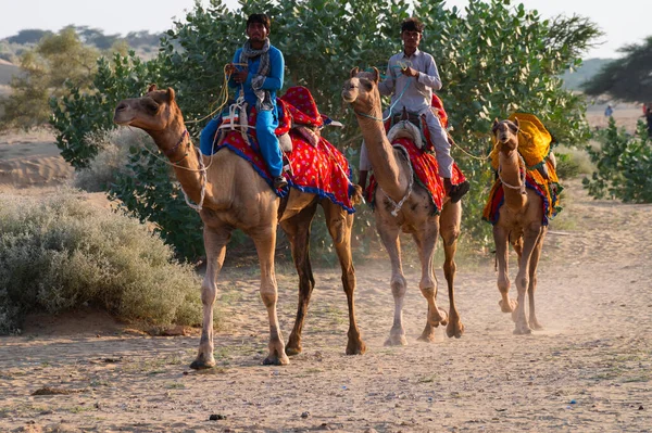 Thar Çölü Rajasthan Hindistan Ekim 2019 Deveye Binen Deve Sahipleri — Stok fotoğraf