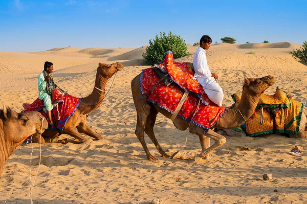 Thar Desert Rajasthan Indien Oktober 2019 Kamelägare Med Kameler Camelus — Stockfoto