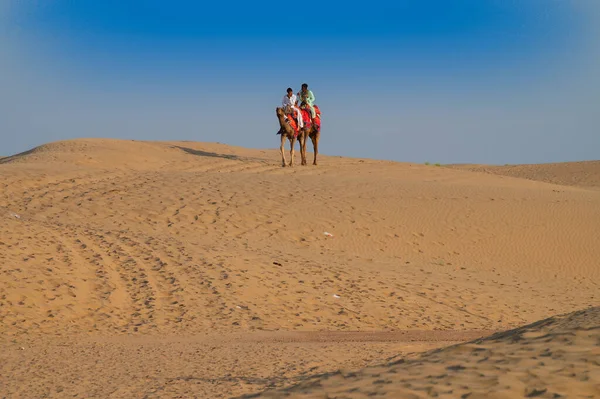 Thar Desert Rajasthan Indie Října 2019 Majitelé Velbloudů Velbloudy Camelus — Stock fotografie
