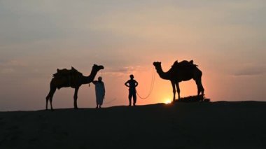 Hindistan, Rajasthan 'daki Thar çölünün kum tepelerindeki iki devenin silueti. Arka planda mavi gökyüzü olan gün batımı. Cameleers turistlerin sürdüğü devenin sırtından geçiniyor..