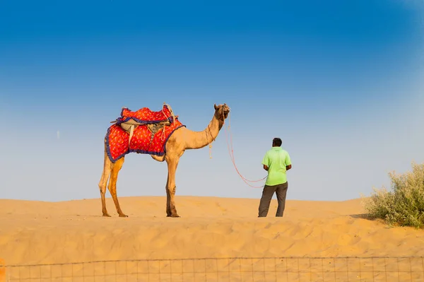 Kameel Eigenaar Met Zijn Kameel Camelus Dromedarius Afwachting Van Toeristen — Stockfoto