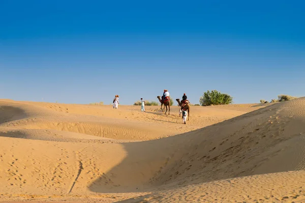 Turistas Montando Camellos Camelus Dromedarius Dunas Arena Del Desierto Thar — Foto de Stock