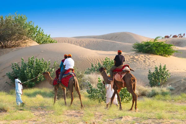 游客们骑着骆驼 在塔尔沙漠的沙丘上流口水 在所有来这里观光的游客中 骆驼是最受欢迎的活动 — 图库照片