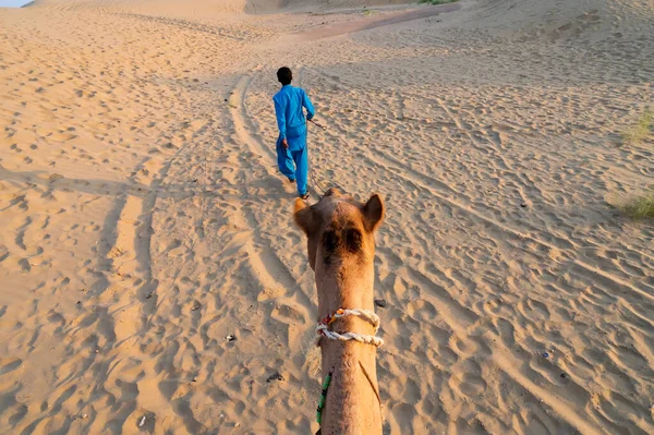 Cameleer Conduisant Chameau Camelus Dromedarius Dans Les Dunes Sable Désert — Photo