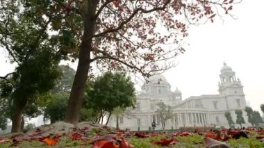 Victoria Memorial of Kolkata 'nın kış sabahında yapraksız ağaç ve çimlerin üzerinde kırmızı yapraklarla çekilmiş videosu. HD stok görüntüleri. Batı Bengal, Hindistan