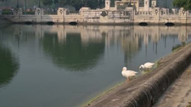 Kuğular, Anatidae familyasından Anatidae familyasından Kuğu cinsi, Hindistan 'ın başkenti Kolkata' da Victoria Memorial 'da bulunan büyük mermer bir binadır..