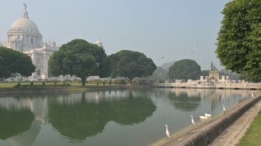 Hint balıkçılları veya raket kuşları, Ardeola grayii, Victoria Memorial, Kolkata, Batı Bengal, Hindistan 'da uçan küçük balıkçıllar, Beyaz Kuğu kuşları, Anatidae familyasından Cygnus cinsi..