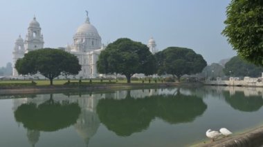 Beyaz Kuğu kuşları, Anatidae familyasından Kuğu cinsi, Hindistan 'ın Batı Bengal bölgesindeki Victoria Memorial gölünde yıkanır ve temizlenirler..