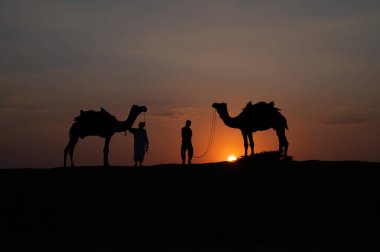 Hindistan, Rajasthan 'daki Thar çölünün kum tepelerindeki iki devenin silueti. Batan güneşli bulut, arka planda gökyüzü. Cameleers turistlerin sürdüğü devenin sırtından geçiniyor..