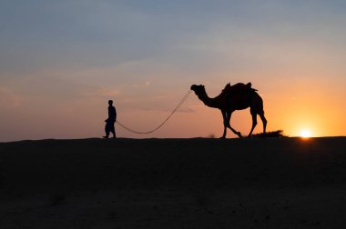 Silhouette of a young cameleer leading a camel into sand dunes. Setting sun with blue sky in the background.