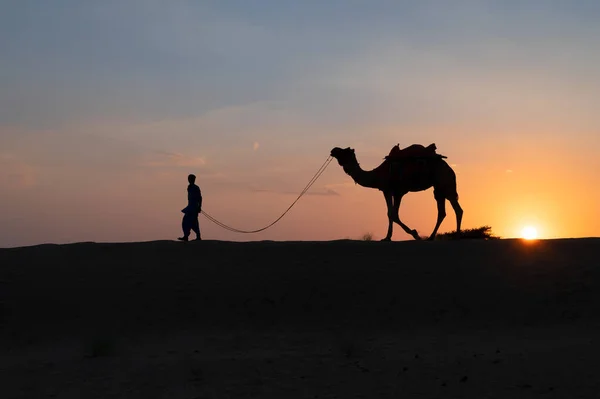 Silhouette Young Cameleer Leading Camel Sand Dunes Setting Sun Blue — 图库照片