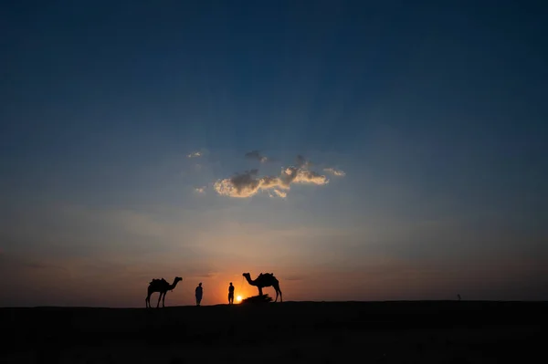 Silueta Dvou Velbloudů Jejich Velbloudů Písečných Dunách Thar Pouště Rajasthan — Stock fotografie