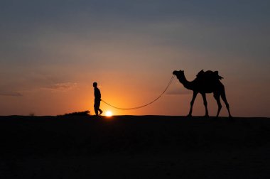 Silhouette of a young cameleer leading a camel into sand dunes. Setting sun with blue sky in the background.