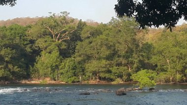 View of Kali river or Kali nadi river at Dandeli, Karnataka, India.