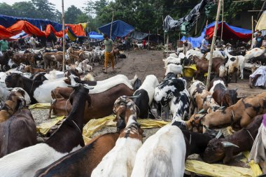Kolkata, Batı Bengal, Hindistan - 11 Ağustos 2019: 