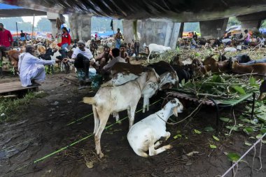 Kolkata, Batı Bengal, Hindistan - 11 Ağustos 2019: 