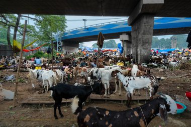Kolkata, Batı Bengal, Hindistan - 11 Ağustos 2019: 
