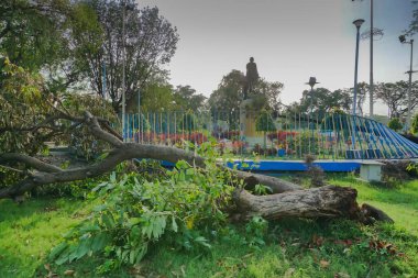Kolkata, Batı Bengal, Hindistan - 21 Mayıs 2020: Süper Kasırga Amphan arka planda Mahatma Gandhi 'nin heykeline dokunarak yere düşen ağacı kökünden söktü. Kolkata şehrini harap etti..