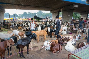Kolkata, Batı Bengal, Hindistan - 11 Ağustos 2019: 