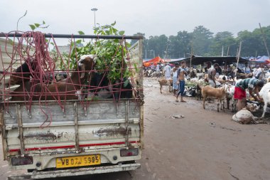 Kolkata, Batı Bengal, Hindistan - 11 Ağustos 2019: 