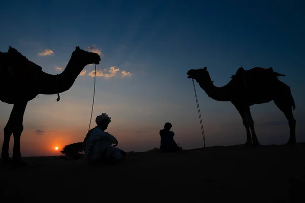 Silhuett Två Kameler Och Deras Kameler Vid Sanddynerna Thar Öknen — Stockfoto