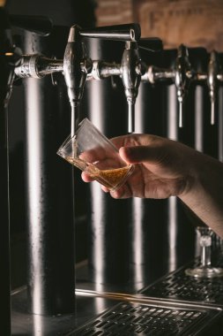 Bira musluğundaki barmen bir restoranda ya da barda servis edilen bardakta bira dolduruyor.