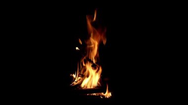 A burning bonfire Burned with firewood at night For camping in the wild., orange fire flame and smoke., close up bonfire flames of camping fire.