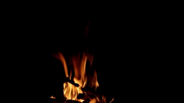 Burning Bonfire Burned Firewood Night Camping Wild Orange Fire Flame — 비디오