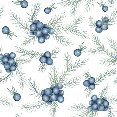 Ardıçların suluboya desenleri. Beyaz arka planda Noel için yaprakları olan güzel böğürtlenler