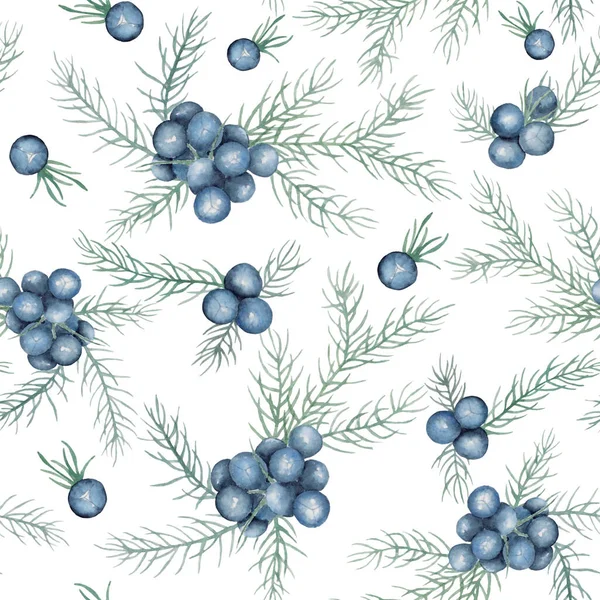 Ardıçların suluboya desenleri. Beyaz arka planda Noel için yaprakları olan güzel böğürtlenler