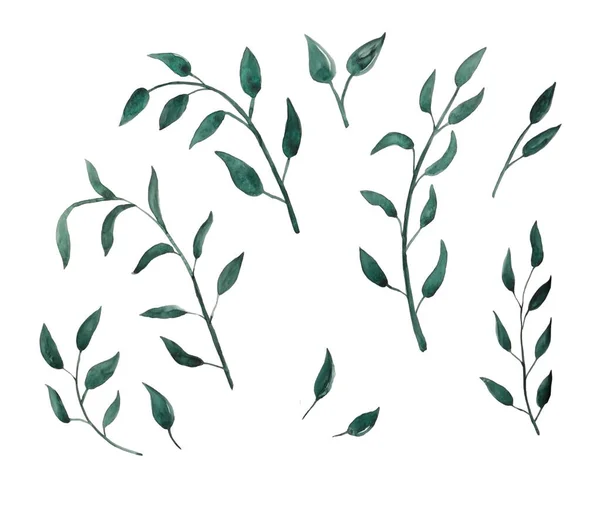 Watercolor illustrations of abstract leaves for clipart. Green leaves, herbs and branches. Design elements. Perfect for invitations, greeting cards, blogs, posters and compositions.