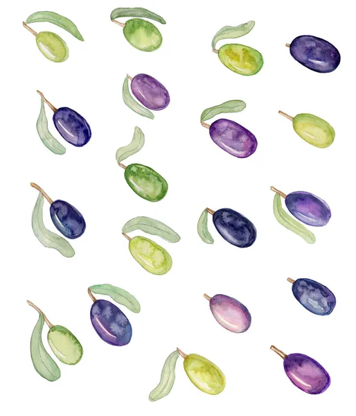 Illustrazione Acquerello Disegnata Mano Olive Sfondo Bianco Isolato Design Del — Foto Stock